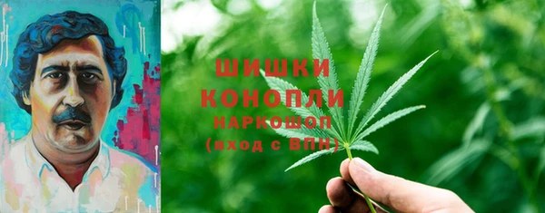 сатива Аркадак