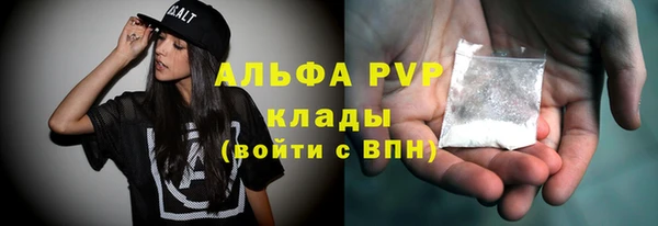 сатива Аркадак