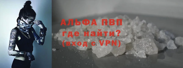сатива Аркадак
