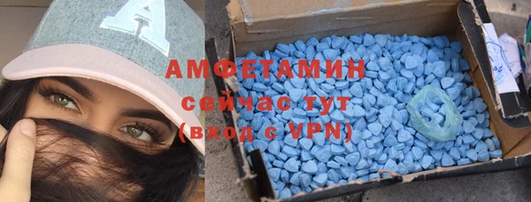 сатива Аркадак