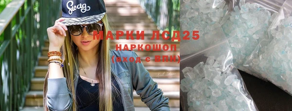 сатива Аркадак