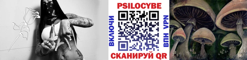 Купить  Курчалой  Псилоцибиновые грибы прущие грибы 