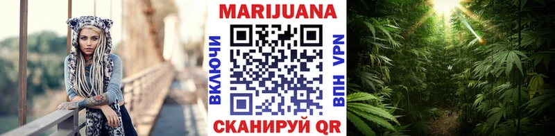Бошки марихуана White Widow Купить закладки Курчалой